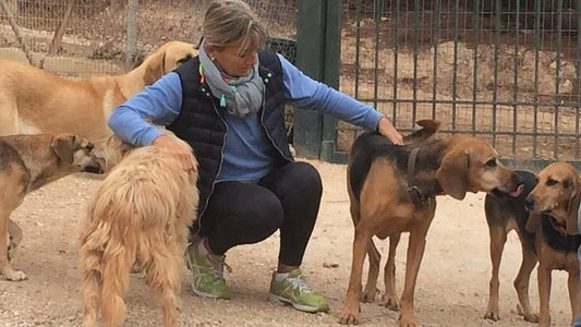 Adopt, Don't Shop: Why Rescuing a Pet Beats Buying from Stores or Breeders