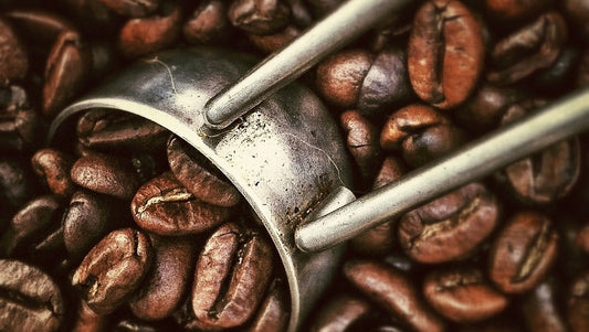 coffee beans and silver scoop