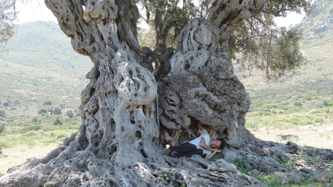 Ancient Wisdom + Modern Science: The 7 Hermetic Principles Reimagined for Vitality and Wellbeing