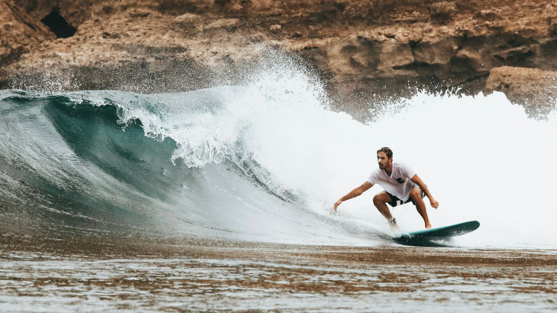 Homeostasis: the intelligence that guides us back to balance.