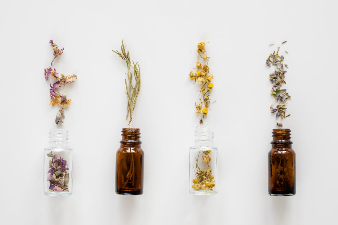 “Top view of four small glass apothecary bottles filled with dried medicinal herbs on a white background, representing natural essential oil rituals.”