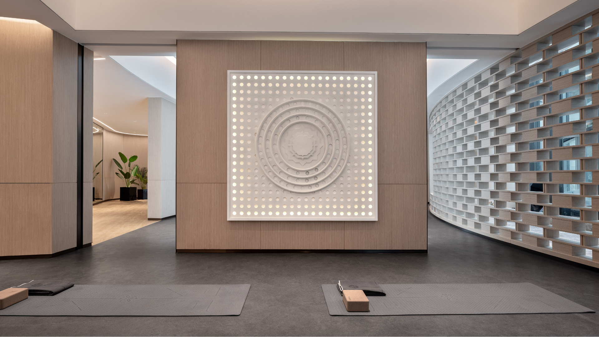 Aristoleo+ Spas, Gyms, & Holistic Clinics